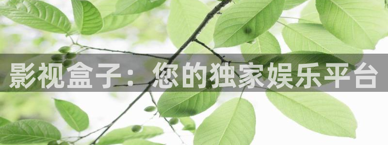 老湿在线