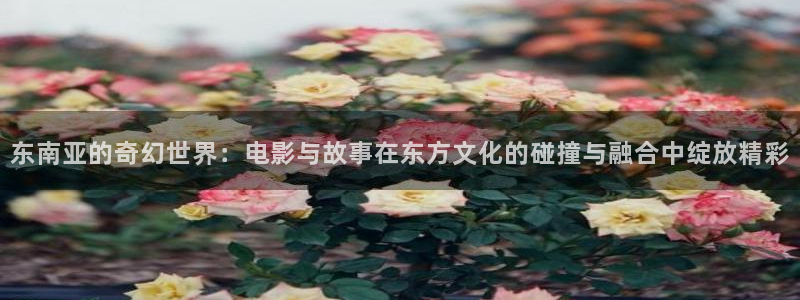 老湿a影院在线观看