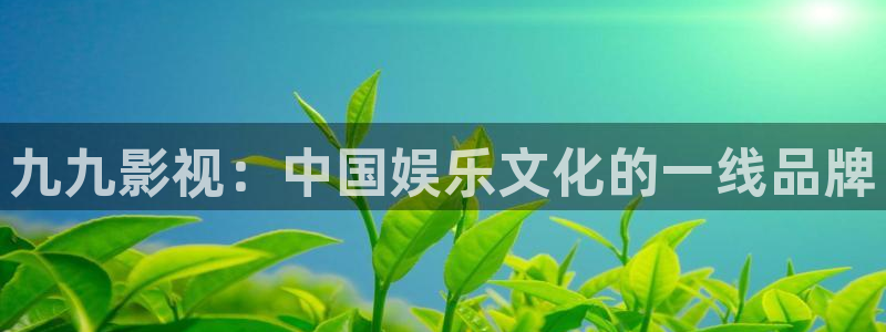 老湿影院免费观看视频