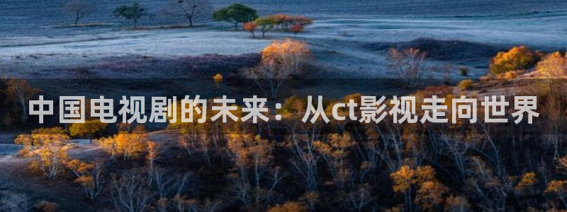 老湿影院vip18：中国电视剧的未来：从ct影视走向世界