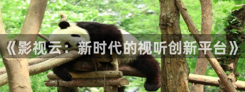 老湿影院在线播放：《影视云：新时代的视听创新平台》