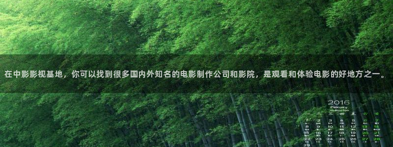 老湿的影院