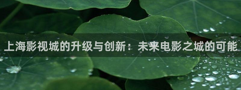 老湿影院在线：上海影视城的升级与创新：未来电影之城的可能
