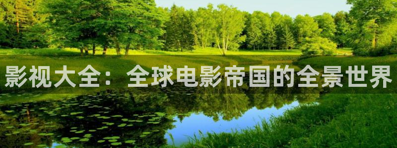 老湿影院免费：影视大全：全球电影帝国的全景世界