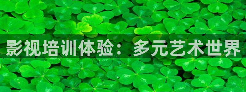 老湿影院69：影视培训体验：多元艺术世界