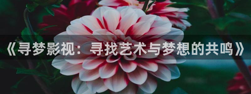 老湿影院一分钟免费看：《寻梦影视：寻找艺术与梦想的共鸣》