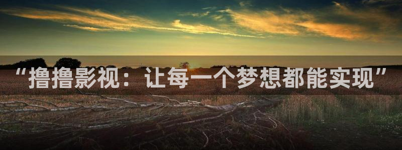 老湿影院日韩