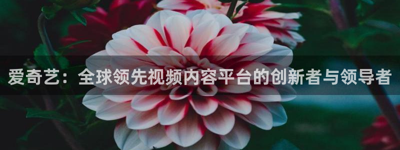 老湿影院啪啪视频：爱奇艺：全球领先视频内容平台的创新者与领导者