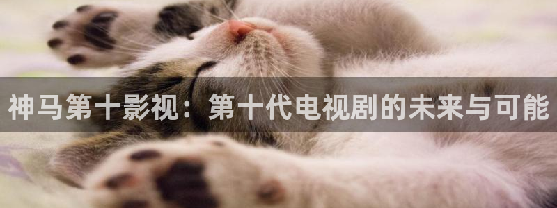 老湿影院10分钟：神马第十影视：第十代电视剧的未来与可能