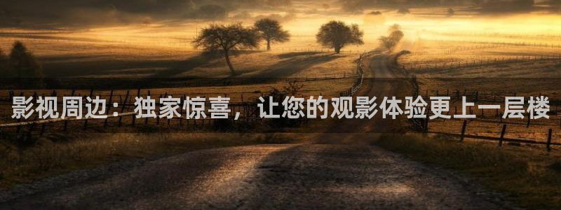 老湿影院91：影视周边：独家惊喜，让您的观影体验更上一层楼